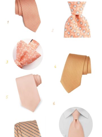 Peach Ties For Grooms and Groomsmen