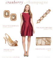 Cranberry Dress and Champagne Accessories