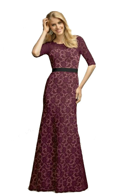 watters coriander dress long lace gown