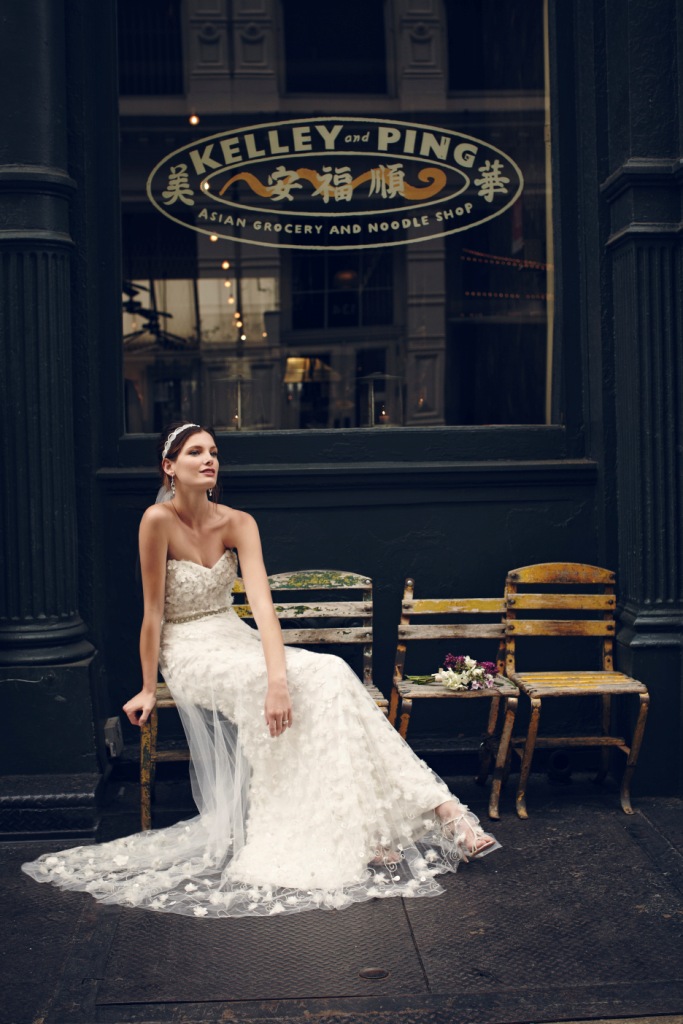 Eva gown and overlay BHLDN