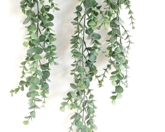 eucalyptus garland for a wedding